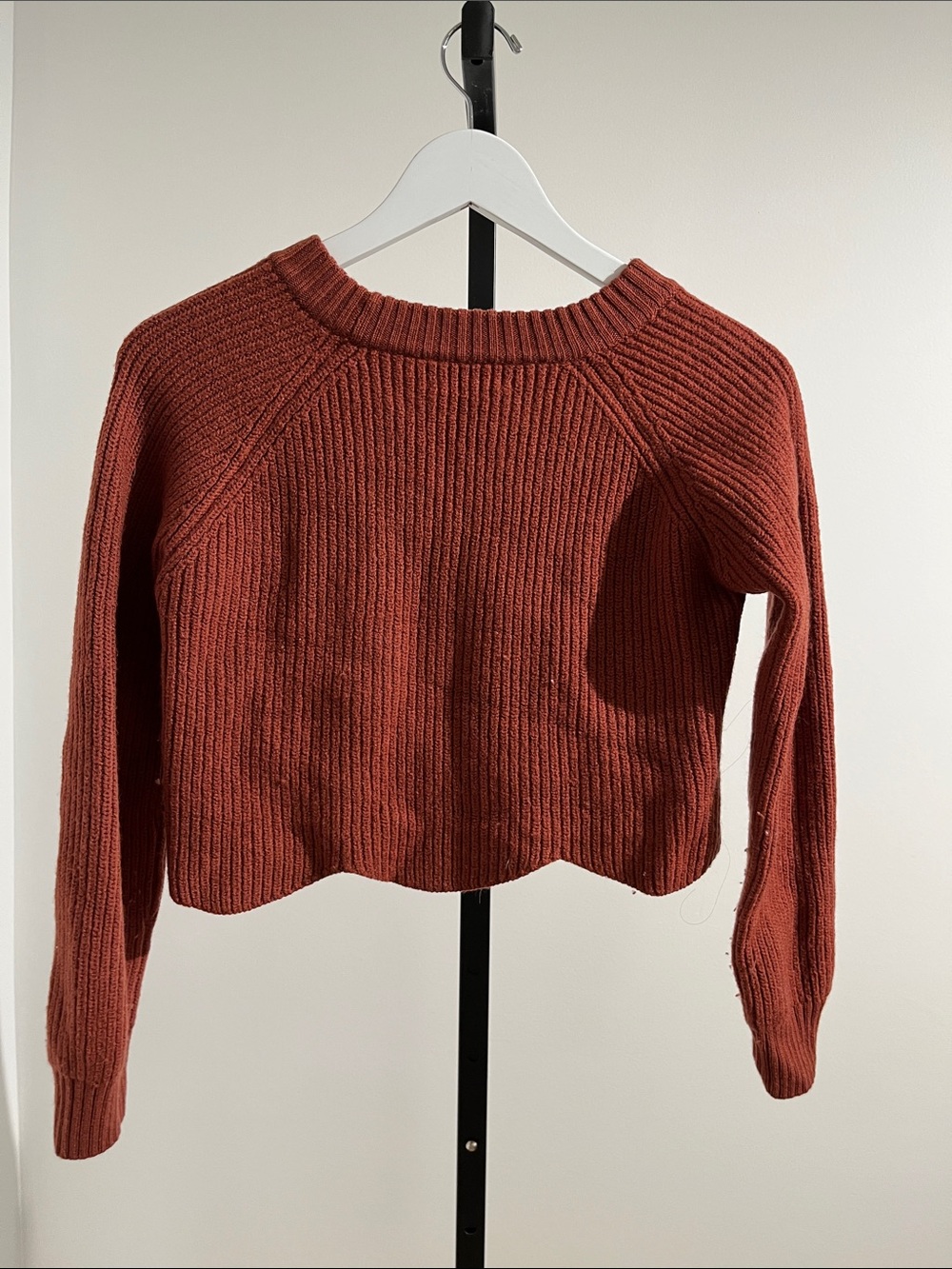 Wilfred Rust Ribbed Crewneck Sweater - Picture 3 of 7